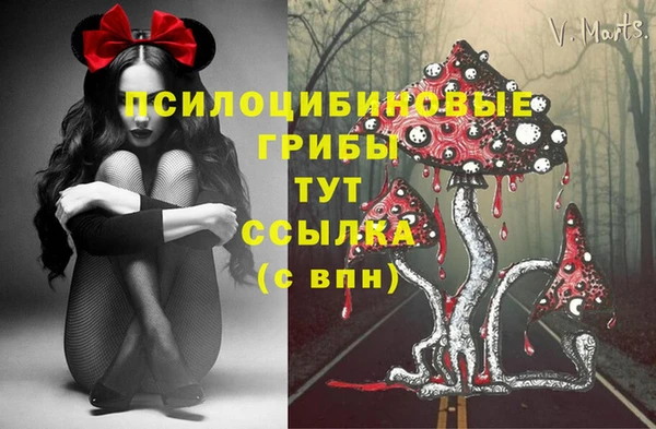твердый Аркадак