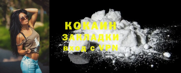твердый Аркадак