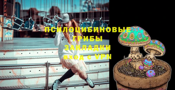 твердый Аркадак