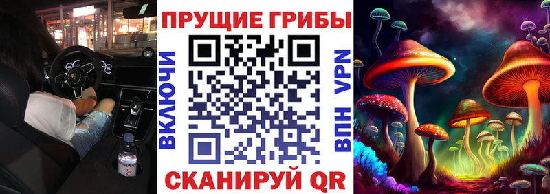 Псилоцибиновые грибы Magic Shrooms  Миасс 