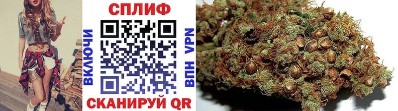 Канабис гибрид  Миасс 